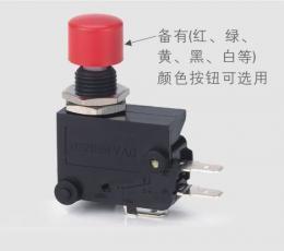 藍鳥RENEW RS-5GL 短柄微動開關 電工開關領域的可靠選擇